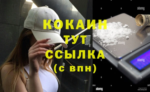 мяу мяу мука Армянск